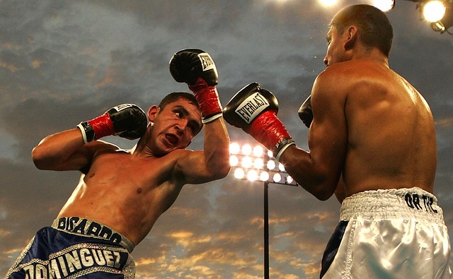 box, boxing match, uppercut box, boxing match, uppercut