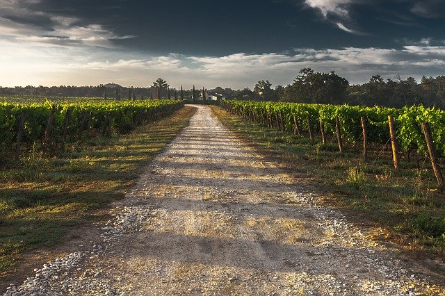 country lane, gravel road, tuscany country lane, gravel road, tuscany