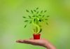 5 Steps to Grow Your Business