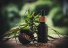 Why Your Business Should Think About Stocking CBD Products