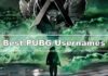 250+ Best, Funny, Cool Pubg Names Ideas For Boys & Girls Best PUBG Names