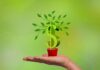 Smart Hacks to Grow Leads for Your Business