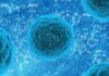 Buying critical illness cover: common mistakes to avoid