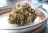 Top 7 Marketing Strategies That You Can Use to Market Your CBD Business