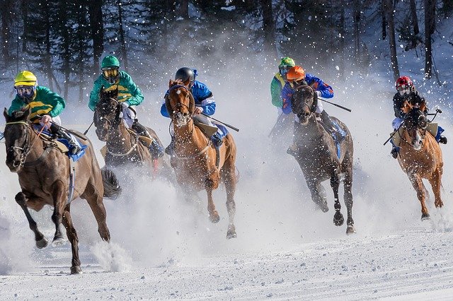 horse racing, gallop, jockey