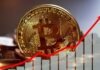What profits do bitcoin miners get?