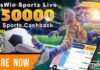 All About Sport Live Betting