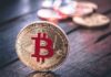 Some Expert Tips for The Bitcoin Traders Which Can Help Them While Trading