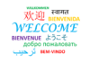 How Can I Teach Language Online Being A Non-Native?