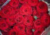 Long Stem Roses A bouquet of red roses Description automatically generated