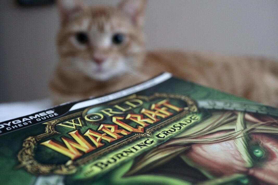 Photo by WTFast brown tabby cat on green and white textile