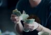 Which Mutual Fund is Best for Tax Saving? focus photography of person counting dollar banknotes