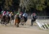 Nitty-Gritty: Analyzing the Grand National’s Most Important Fences, and Where the Race Is Won or Lost shallow focus photography of horse race