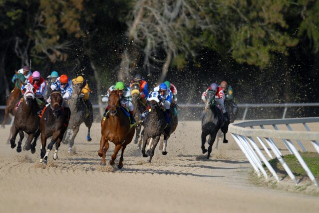 Photo by Jeff Griffith shallow focus photography of horse race