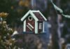 What to Expect From Real Estate in Greater Cleveland? closeup photo of red and white bird house