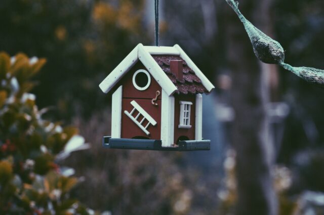 Photo by Harmen Jelle van Mourik closeup photo of red and white bird house