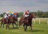 7 Reasons to Consider Race Track Type When Betting on Horse Racing