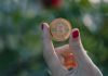 A step-by-step strategy to profiting from bitcoin