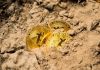Bitcoin Mining: How to Mine Effectively three Bitcoins on soil