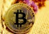 Learn about the benefits and drawbacks of using a bitcoin gold and black round coin