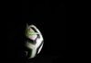 Everything You Should Know About Online Football Betting Companies blue and black soccer ball