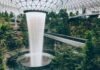 How to Improve Airport Security? green trees in glass building