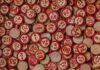 How did Bingo become popular again? red and white round plastic