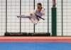Learning the Art of Kung Fu