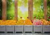 Use Your Produce Section to Promote Your Grocery Store
