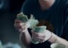 How to Choose an Online Casino With Fast Payouts focus photography of person counting dollar banknotes