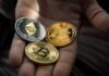 Bitcoin Alternatives: How to Choose the Right Crypto Closeup Photo of Three Round Coins in Person's Palm