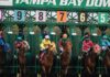 Reasons to Look at Horse Racing Odds Before Placing a Bet people riding horses during daytime