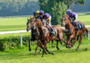 How to Make the Most Out of Your Horse-Racing Experiences
