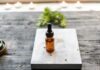 What Does High CBD Do for You? brown glass bottle on brown wooden table