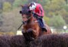 Willie Mullins’ chances in the Challenge Cup Handicap Chase