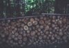 ADVANTAGES OF WOOD HEATERS: TRADITIONAL, COSY AND SUSTAINABLE logs surrounded by treelines