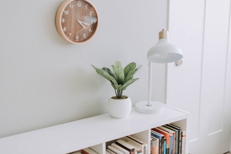 Photo by Samantha Gades green plant on white pot beside white study lamp