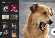 Creating Pawsome Pet Videos with CapCut: A Step-by-Step Guide