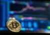 Stable Success in BTC Casinos: Five Essential Habits to Cultivate gold-colored Bitcoin