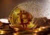 Crypto Artistry: How Bitcoin is Inspiring Innovative Creations blockchain, technology, smart