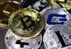 The Effect of Government Policies on Bitcoin Price Various Cryptocurrency on Table