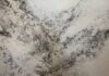 6 Essentials You Need to Know if You Find Mold in Your House a black and white picture of a wall