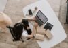 Is Online GRE Coaching as Effective as In-Person Coaching? Free Young lady typing on keyboard of laptop in living room Stock Photo