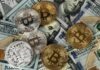 What To Learn From Previous Market Falls – Crypto Guide Round Silver and Gold Coins