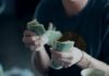Behavioral Finance’s Influence on Investment Decision-Making focus photography of person counting dollar banknotes