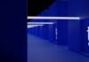 Psychological Impacts: The Influence Of Capital On Trader Mindset a row of blue lockers with numbers on them