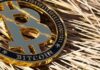 Is It Advisable to Invest in A Spot Bitcoin ETF?