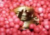The Must-Have Features of Forex and Crypto Trading Apps That Will Transform Your Trading Game a bitcoin surrounded by pink candy balls