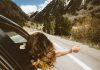 Why You Should Take a Digital Detox Road Trip woman riding on vehicle putting her head and right arm outside the window while travelling the road