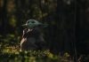 Shaping Imaginary Worlds: Intelligent Tools for Character Creation green bird on brown jacket